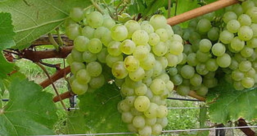 blog image